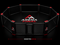 OCTÁGONO MMA PROFESIONAL ARENA FINAL® – 9.14 m